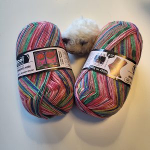 Brillen in kleinem Gesicht 563