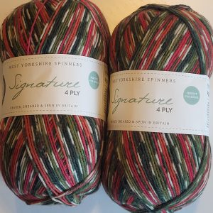 WYS - Signature 4ply Holly Berry 886/ Christmas Collection