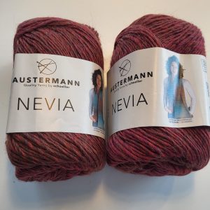 NEVIA 03